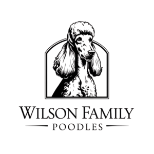 Wilson Family Poodles